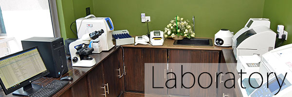 menu-laboratory